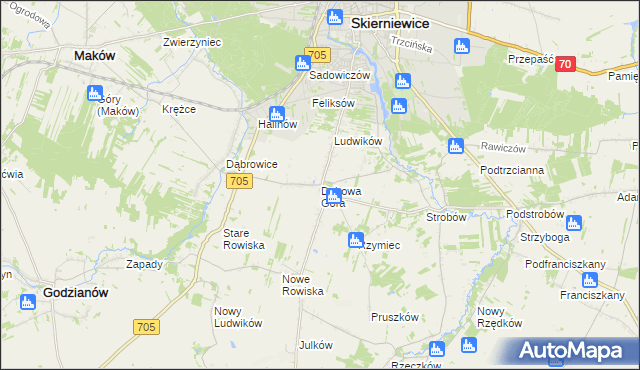 mapa Dębowa Góra gmina Skierniewice, Dębowa Góra gmina Skierniewice na mapie Targeo