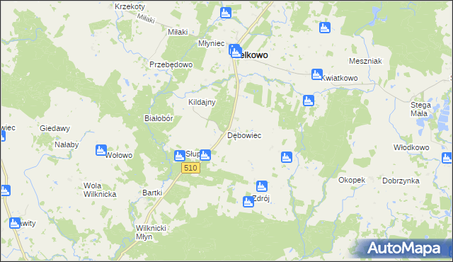 mapa Dębowiec gmina Lelkowo, Dębowiec gmina Lelkowo na mapie Targeo