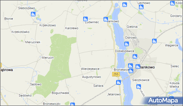 mapa Dobieszewiczki, Dobieszewiczki na mapie Targeo