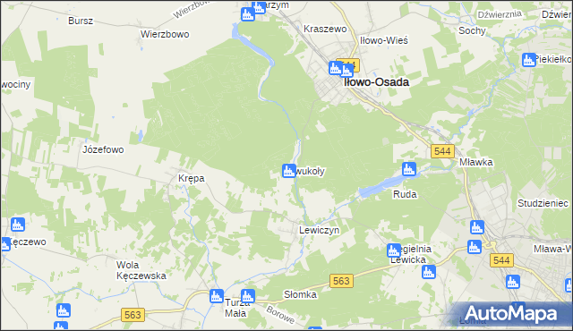 mapa Dwukoły, Dwukoły na mapie Targeo