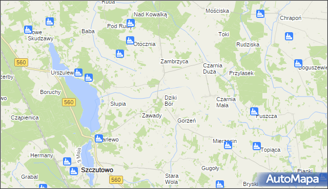 mapa Dziki Bór, Dziki Bór na mapie Targeo