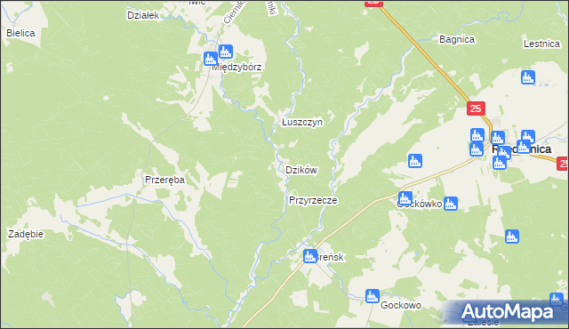 mapa Dzików gmina Rzeczenica, Dzików gmina Rzeczenica na mapie Targeo