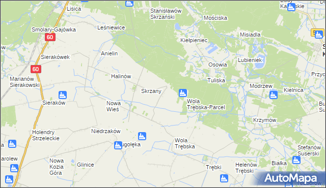 mapa Feliksów gmina Gostynin, Feliksów gmina Gostynin na mapie Targeo