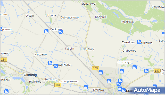 mapa Gaj Mały gmina Obrzycko, Gaj Mały gmina Obrzycko na mapie Targeo