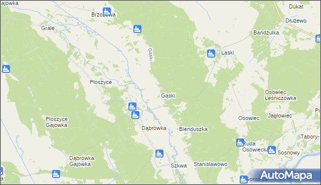 mapa Gąski gmina Lelis, Gąski gmina Lelis na mapie Targeo