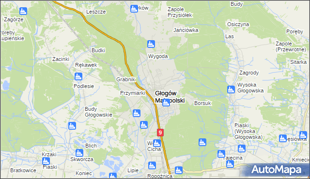 mapa Głogów Małopolski, Głogów Małopolski na mapie Targeo