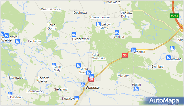 mapa Gola Wąsoska, Gola Wąsoska na mapie Targeo