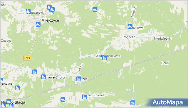 mapa Gołubowszczyzna, Gołubowszczyzna na mapie Targeo
