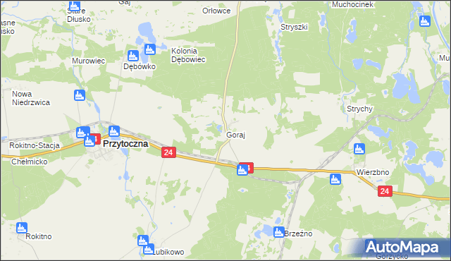 mapa Goraj gmina Przytoczna, Goraj gmina Przytoczna na mapie Targeo