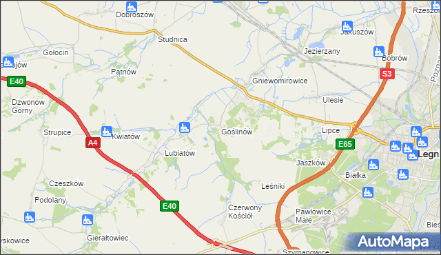 mapa Goślinów, Goślinów na mapie Targeo