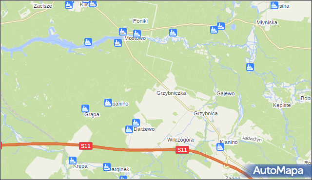 mapa Grzybniczka, Grzybniczka na mapie Targeo