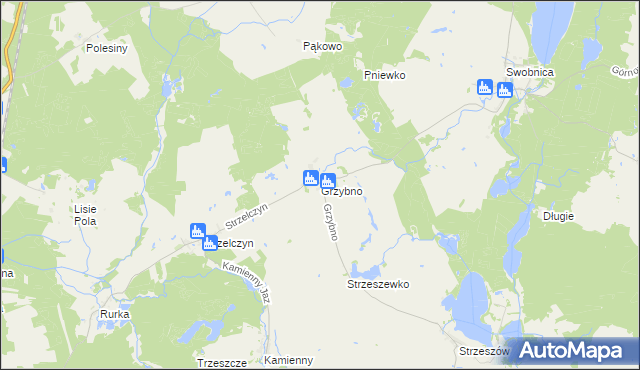 mapa Grzybno gmina Chojna, Grzybno gmina Chojna na mapie Targeo