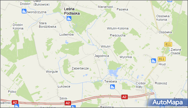 mapa Jagodnica gmina Leśna Podlaska, Jagodnica gmina Leśna Podlaska na mapie Targeo