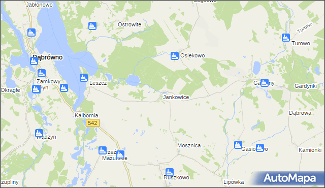 mapa Jankowice gmina Działdowo, Jankowice gmina Działdowo na mapie Targeo