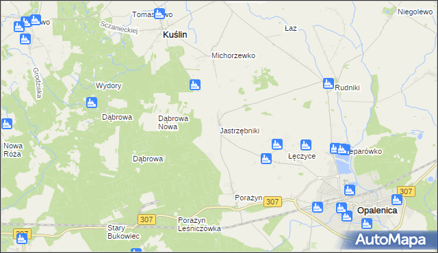 mapa Jastrzębniki gmina Opalenica, Jastrzębniki gmina Opalenica na mapie Targeo