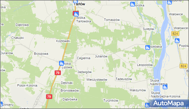 mapa Julianów gmina Tarłów, Julianów gmina Tarłów na mapie Targeo