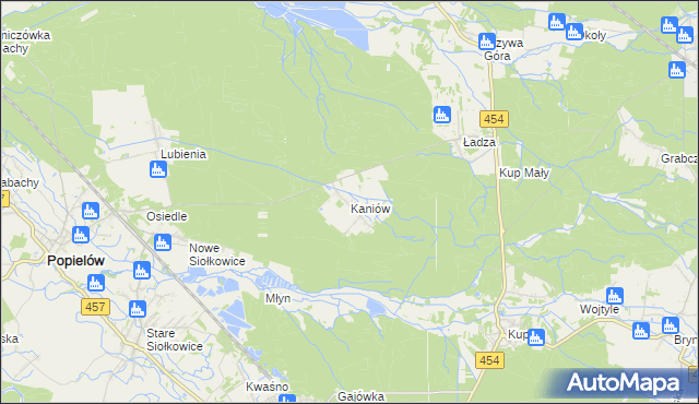 mapa Kaniów gmina Popielów, Kaniów gmina Popielów na mapie Targeo