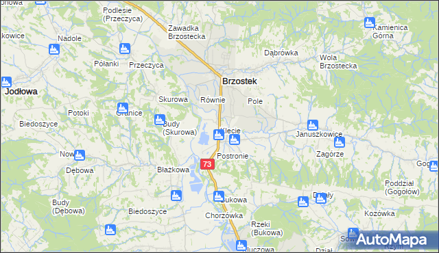 mapa Klecie gmina Brzostek, Klecie gmina Brzostek na mapie Targeo