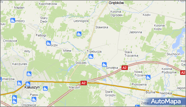 mapa Kolonia Sinołęka, Kolonia Sinołęka na mapie Targeo