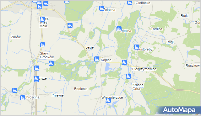 mapa Kopice gmina Grodków, Kopice gmina Grodków na mapie Targeo