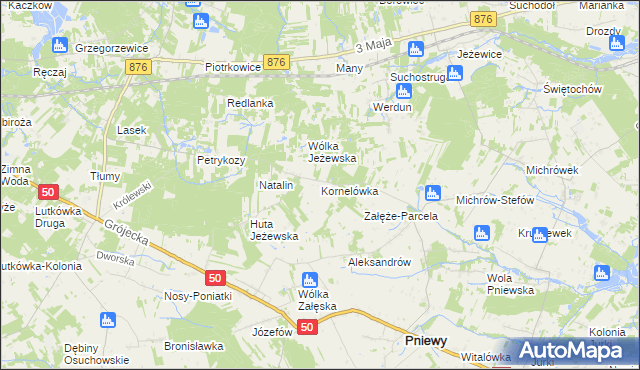 mapa Kornelówka gmina Pniewy, Kornelówka gmina Pniewy na mapie Targeo