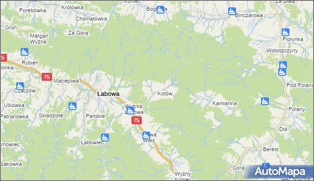 mapa Kotów gmina Łabowa, Kotów gmina Łabowa na mapie Targeo