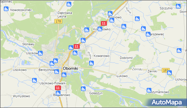 mapa Kowanowo gmina Oborniki, Kowanowo gmina Oborniki na mapie Targeo