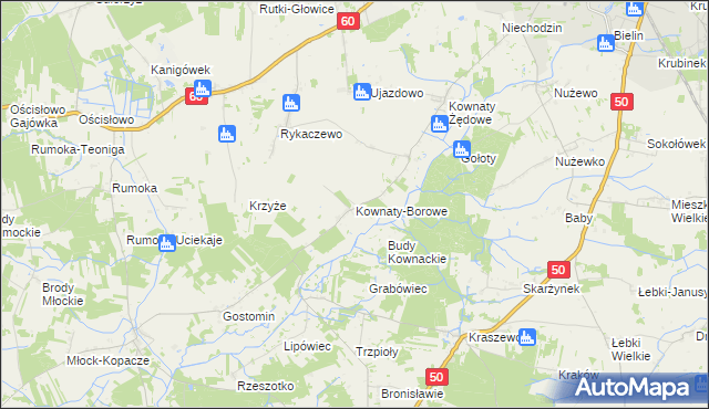 mapa Kownaty-Borowe, Kownaty-Borowe na mapie Targeo