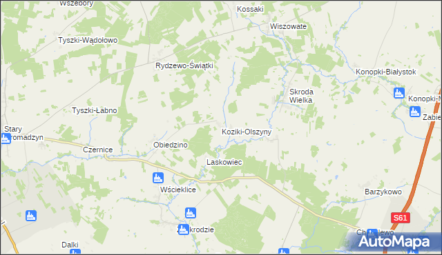 mapa Koziki-Olszyny, Koziki-Olszyny na mapie Targeo