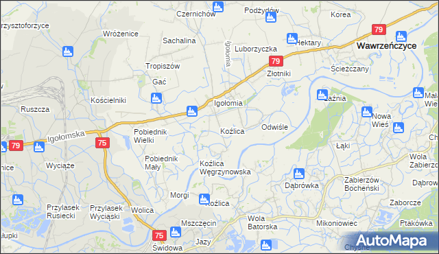 mapa Koźlica, Koźlica na mapie Targeo