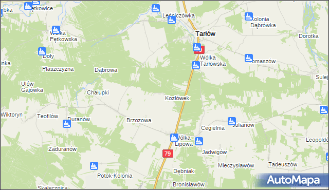 mapa Kozłówek gmina Tarłów, Kozłówek gmina Tarłów na mapie Targeo
