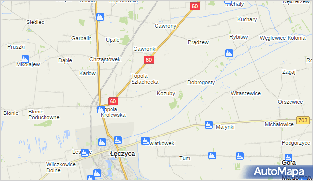 mapa Kozuby gmina Łęczyca, Kozuby gmina Łęczyca na mapie Targeo