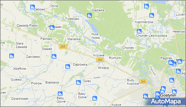 mapa Krzywie gmina Gostynin, Krzywie gmina Gostynin na mapie Targeo