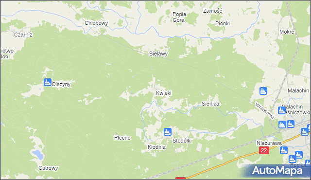 mapa Kwieki, Kwieki na mapie Targeo