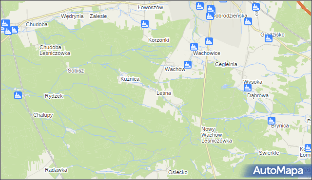 mapa Leśna gmina Olesno, Leśna gmina Olesno na mapie Targeo