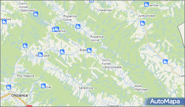 mapa Leszczowate, Leszczowate na mapie Targeo