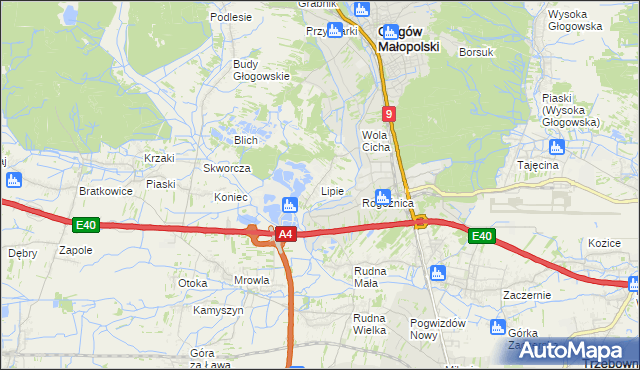 mapa Lipie gmina Głogów Małopolski, Lipie gmina Głogów Małopolski na mapie Targeo