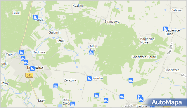 mapa Lisiny gmina Lubowidz, Lisiny gmina Lubowidz na mapie Targeo