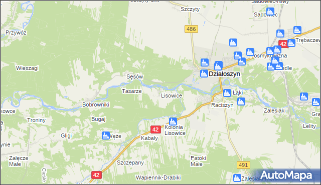 mapa Lisowice gmina Działoszyn, Lisowice gmina Działoszyn na mapie Targeo