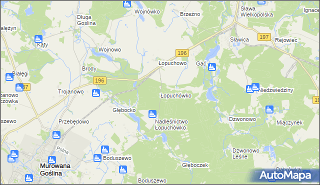 mapa Łopuchówko, Łopuchówko na mapie Targeo