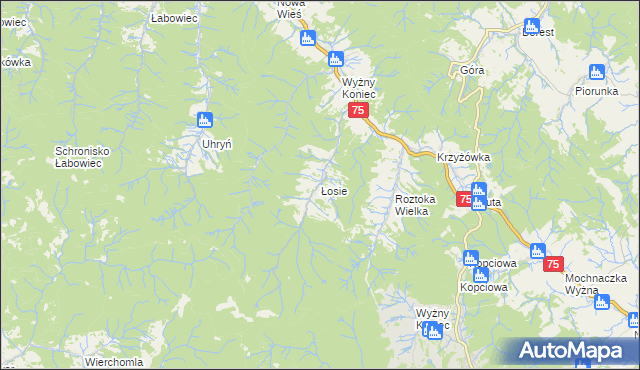 mapa Łosie gmina Łabowa, Łosie gmina Łabowa na mapie Targeo