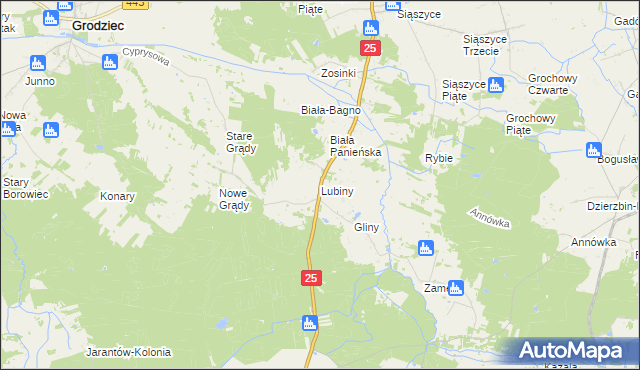 mapa Lubiny gmina Rychwał, Lubiny gmina Rychwał na mapie Targeo