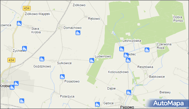 mapa Ludwinowo gmina Pępowo, Ludwinowo gmina Pępowo na mapie Targeo