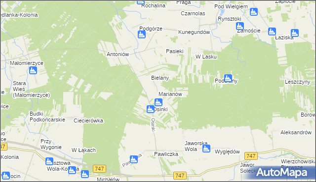 mapa Marianów gmina Rzeczniów, Marianów gmina Rzeczniów na mapie Targeo