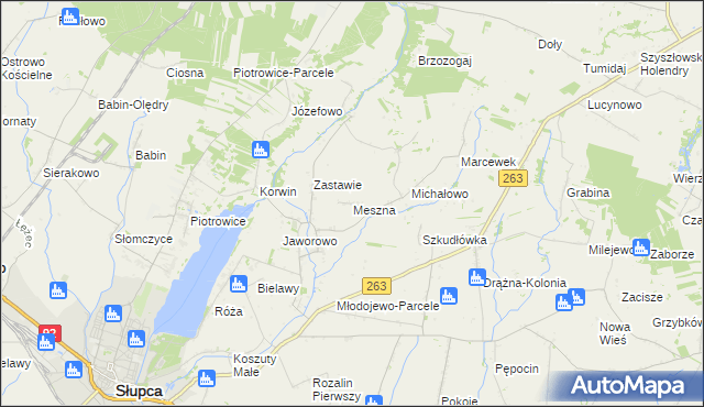 mapa Meszna gmina Słupca, Meszna gmina Słupca na mapie Targeo