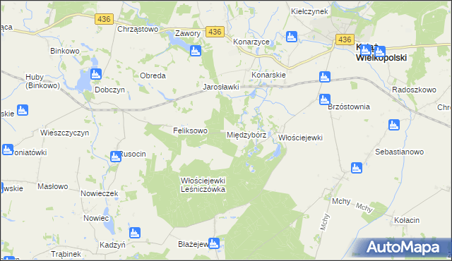 mapa Międzybórz gmina Książ Wielkopolski, Międzybórz gmina Książ Wielkopolski na mapie Targeo