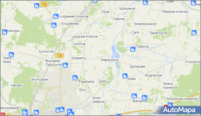 mapa Międzybórz gmina Opoczno, Międzybórz gmina Opoczno na mapie Targeo