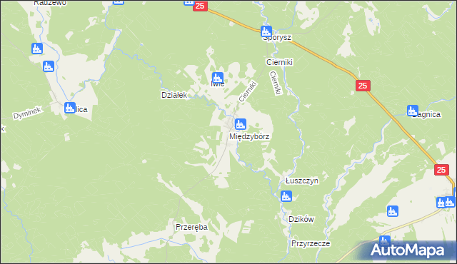 mapa Międzybórz gmina Rzeczenica, Międzybórz gmina Rzeczenica na mapie Targeo