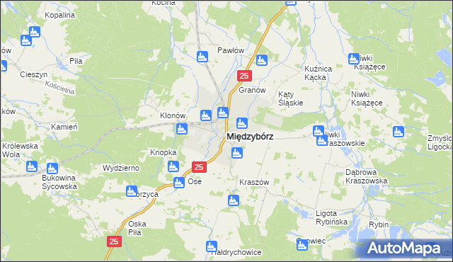 mapa Międzybórz powiat oleśnicki, Międzybórz powiat oleśnicki na mapie Targeo