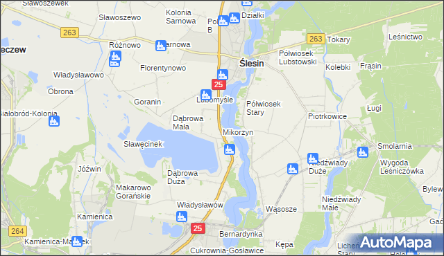 mapa Mikorzyn gmina Ślesin, Mikorzyn gmina Ślesin na mapie Targeo